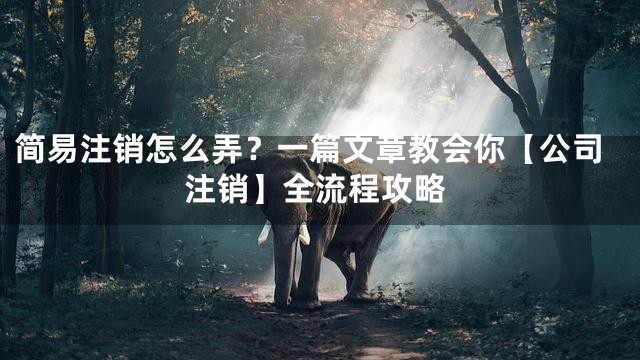 简易注销怎么弄？一篇文章教会你【公司注销】全流程攻略
