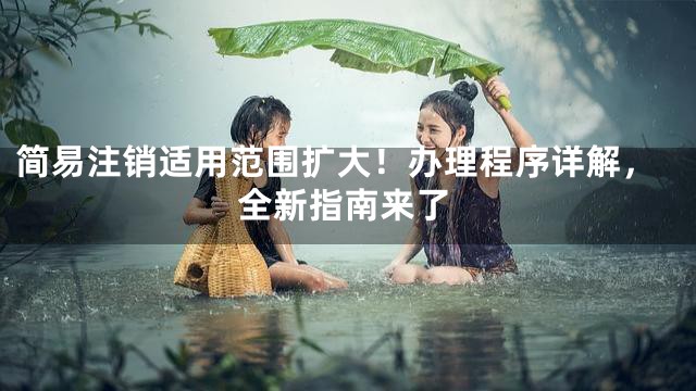 简易注销适用范围扩大！办理程序详解，全新指南来了