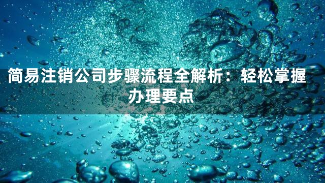 简易注销公司步骤流程全解析：轻松掌握办理要点