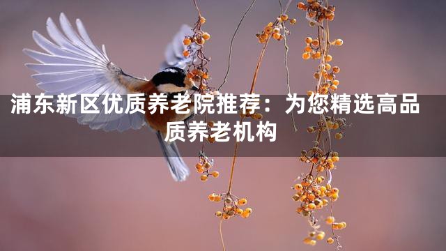 浦东新区优质养老院推荐：为您精选高品质养老机构