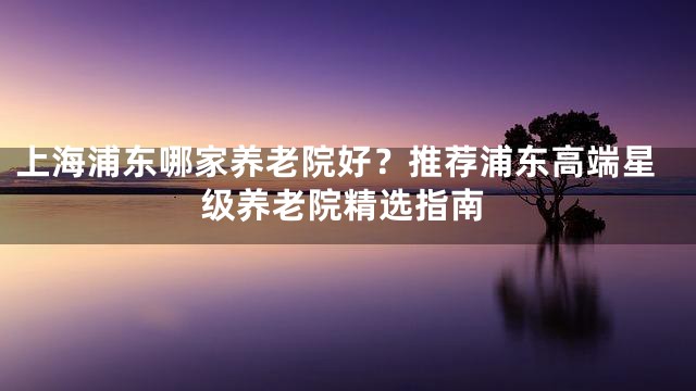 上海浦东哪家养老院好？推荐浦东高端星级养老院精选指南