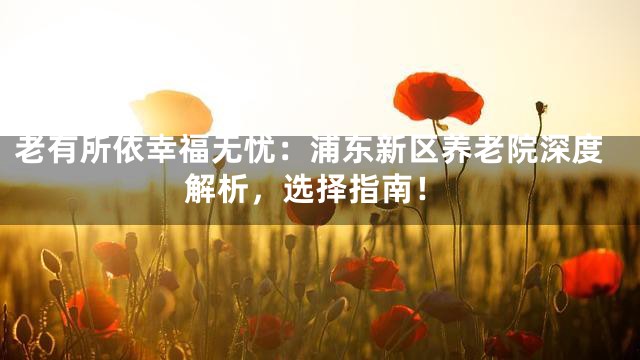 老有所依幸福无忧：浦东新区养老院深度解析，选择指南！