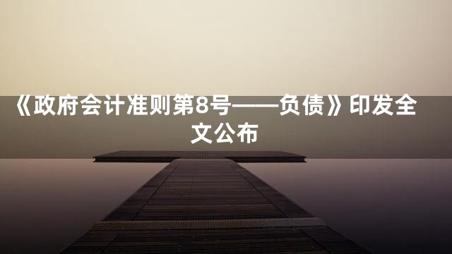 《政府会计准则第8号——负债》印发全文公布
