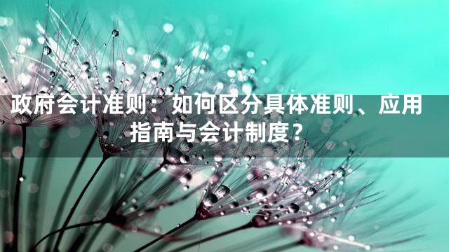 政府会计准则：如何区分具体准则、应用指南与会计制度？