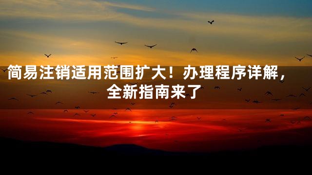 简易注销适用范围扩大！办理程序详解，全新指南来了