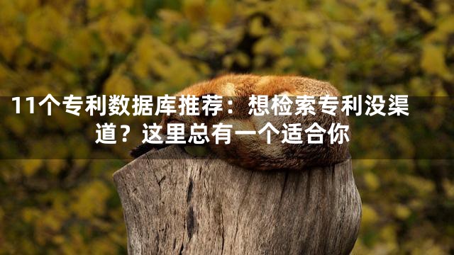 11个专利数据库推荐：想检索专利没渠道？这里总有一个适合你