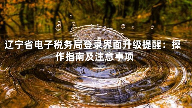 辽宁省电子税务局登录界面升级提醒：操作指南及注意事项