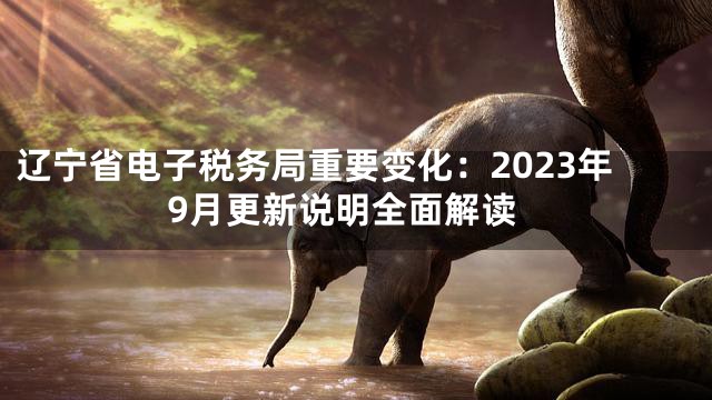 辽宁省电子税务局重要变化：2023年9月更新说明全面解读