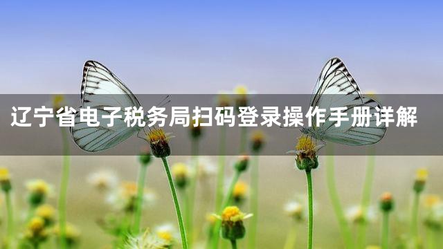 辽宁省电子税务局扫码登录操作手册详解