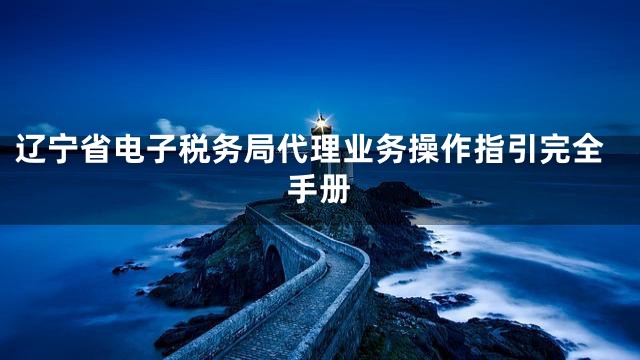 辽宁省电子税务局代理业务操作指引完全手册