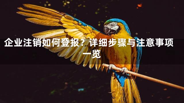 企业注销如何登报？详细步骤与注意事项一览