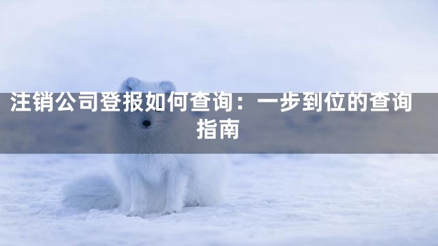 注销公司登报如何查询：一步到位的查询指南