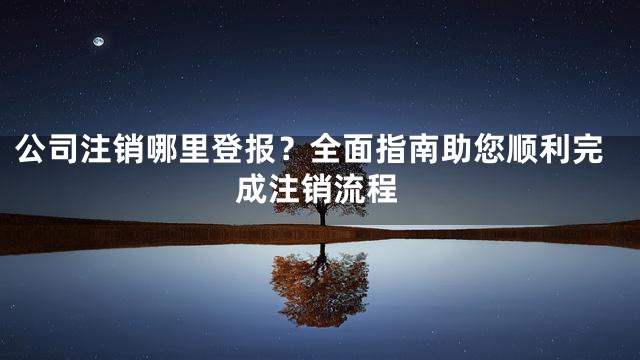 公司注销哪里登报？全面指南助您顺利完成注销流程