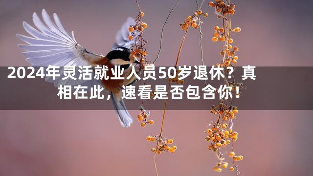 2024年灵活就业人员50岁退休？真相在此，速看是否包含你！