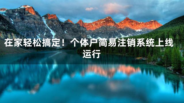 在家轻松搞定！个体户简易注销系统上线运行