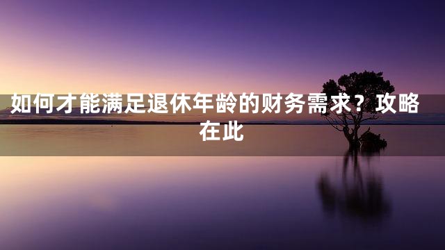 如何才能满足退休年龄的财务需求？攻略在此