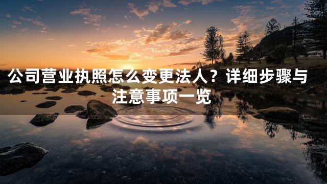 公司营业执照怎么变更法人？详细步骤与注意事项一览