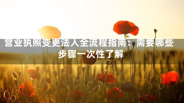 营业执照变更法人全流程指南：需要哪些步骤一次性了解