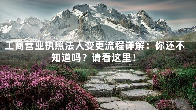 工商营业执照法人变更流程详解：你还不知道吗？请看这里！