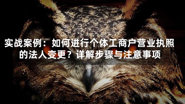 实战案例：如何进行个体工商户营业执照的法人变更？详解步骤与注意事项