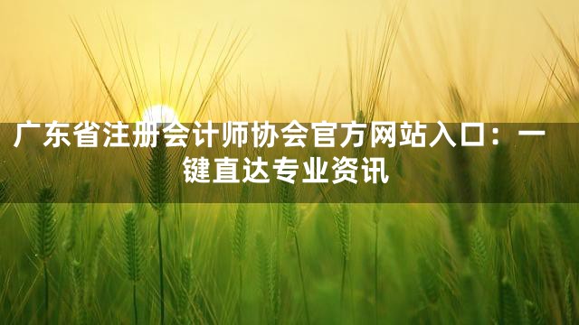广东省注册会计师协会官方网站入口：一键直达专业资讯