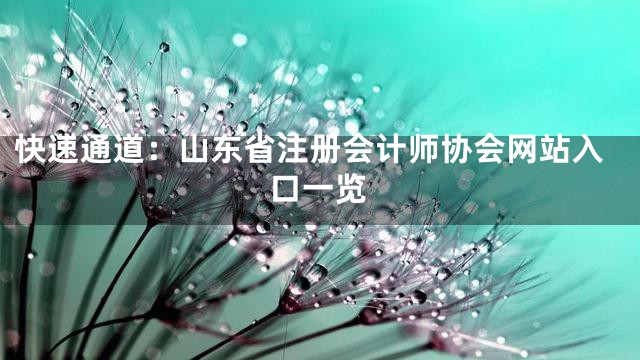 快速通道：山东省注册会计师协会网站入口一览