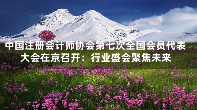 中国注册会计师协会第七次全国会员代表大会在京召开：行业盛会聚焦未来