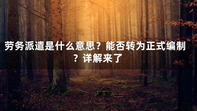 劳务派遣是什么意思？能否转为正式编制？详解来了