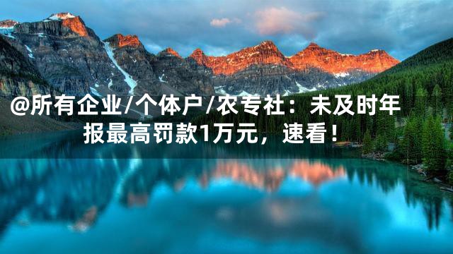 @所有企业/个体户/农专社：未及时年报最高罚款1万元，速看！