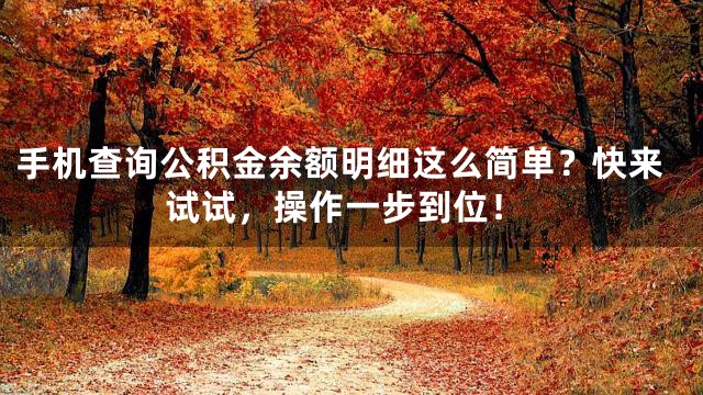 手机查询公积金余额明细这么简单？快来试试，操作一步到位！