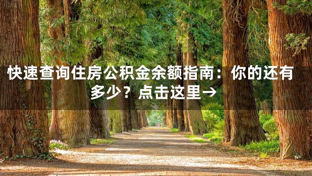 快速查询住房公积金余额指南：你的还有多少？点击这里→