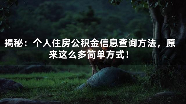 揭秘：个人住房公积金信息查询方法，原来这么多简单方式！