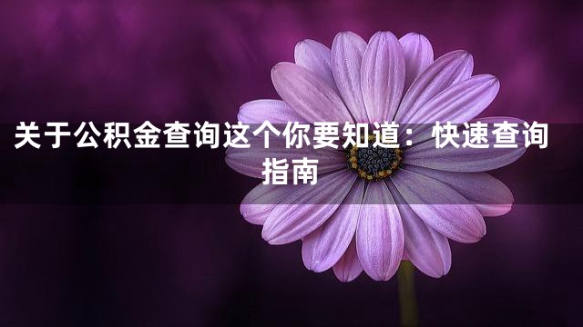 关于公积金查询这个你要知道：快速查询指南