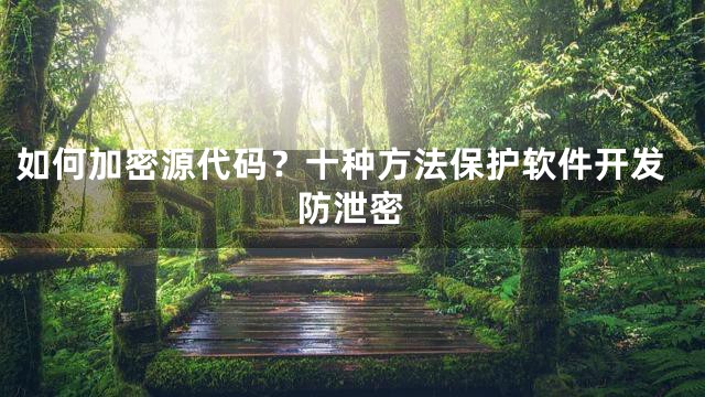 如何加密源代码？十种方法保护软件开发防泄密