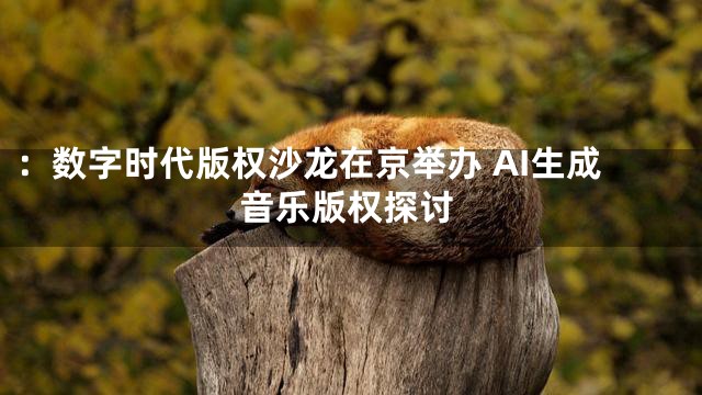 ：数字时代版权沙龙在京举办 AI生成音乐版权探讨