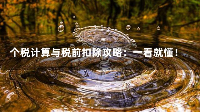 个税计算与税前扣除攻略：一看就懂！