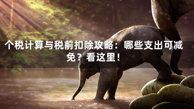 个税计算与税前扣除攻略：哪些支出可减免？看这里！