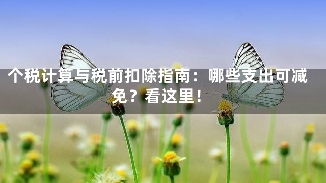 个税计算与税前扣除指南：哪些支出可减免？看这里！