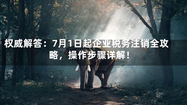 权威解答：7月1日起企业税务注销全攻略，操作步骤详解！