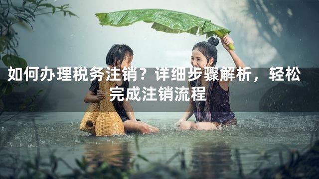 如何办理税务注销？详细步骤解析，轻松完成注销流程