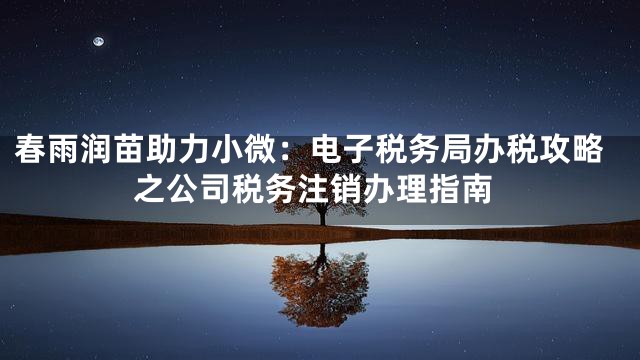 春雨润苗助力小微：电子税务局办税攻略之公司税务注销办理指南
