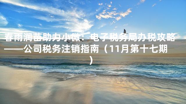 春雨润苗助力小微：电子税务局办税攻略——公司税务注销指南（11月第十七期）