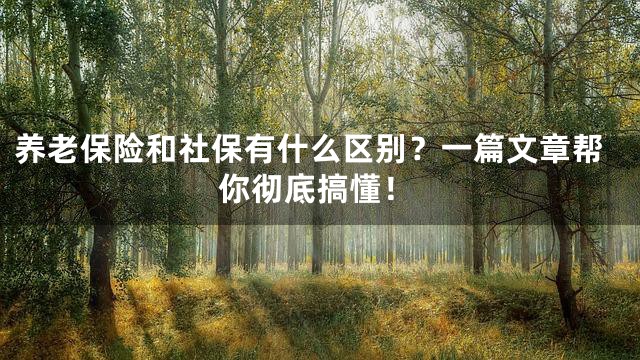 养老保险和社保有什么区别？一篇文章帮你彻底搞懂！