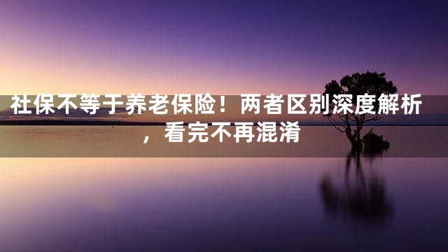 社保不等于养老保险！两者区别深度解析，看完不再混淆