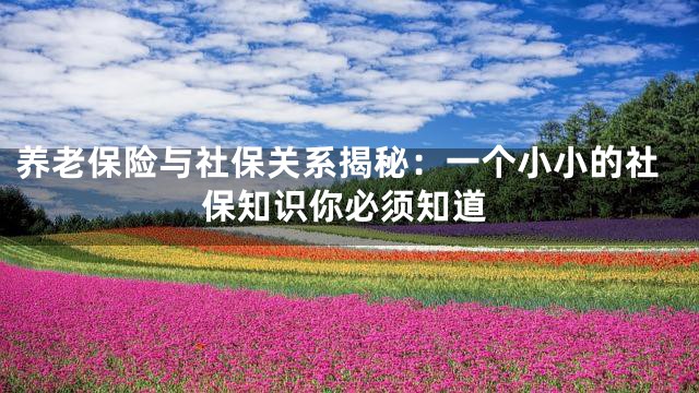 养老保险与社保关系揭秘：一个小小的社保知识你必须知道