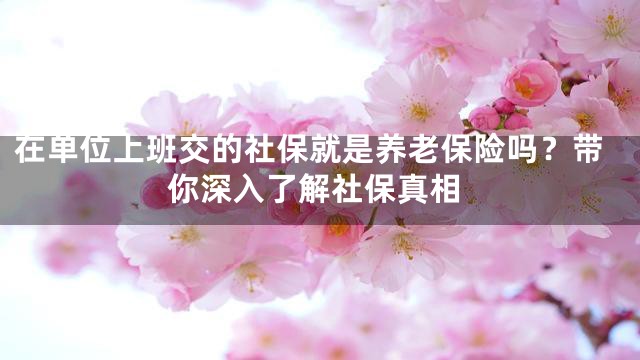 在单位上班交的社保就是养老保险吗？带你深入了解社保真相