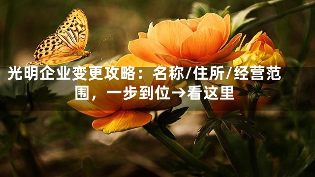 光明企业变更攻略：名称/住所/经营范围，一步到位→看这里
