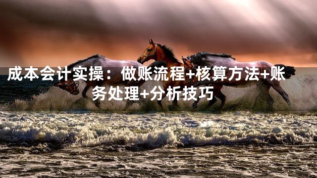 成本会计实操：做账流程+核算方法+账务处理+分析技巧