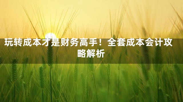 玩转成本才是财务高手！全套成本会计攻略解析