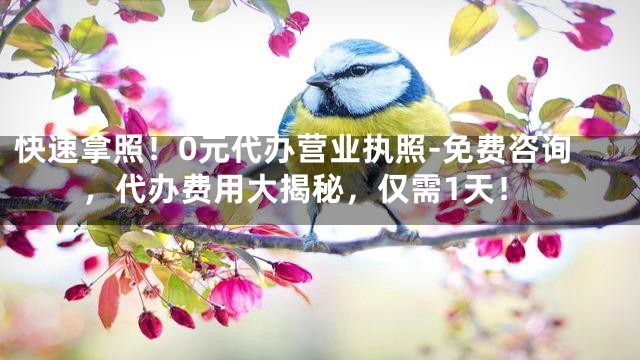 快速拿照！0元代办营业执照-免费咨询，代办费用大揭秘，仅需1天！